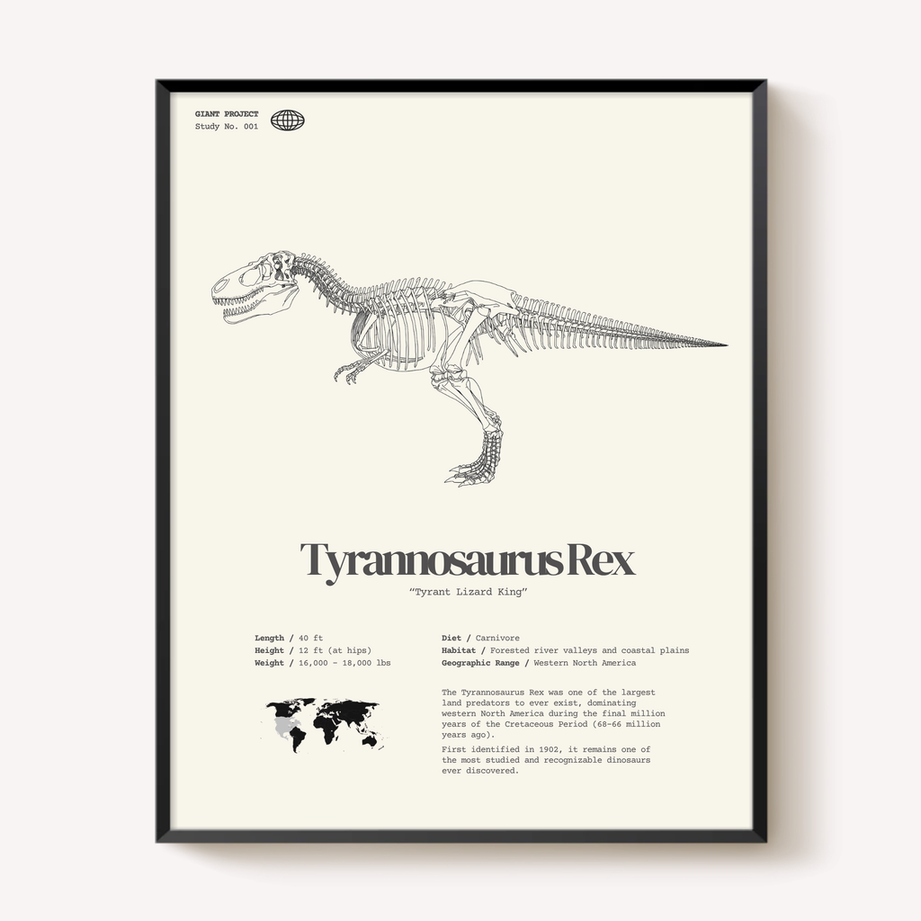 Framed Dinosaur Print Set (3) – T-Rex, Triceratops, Brachiosaurus – 11"x14"