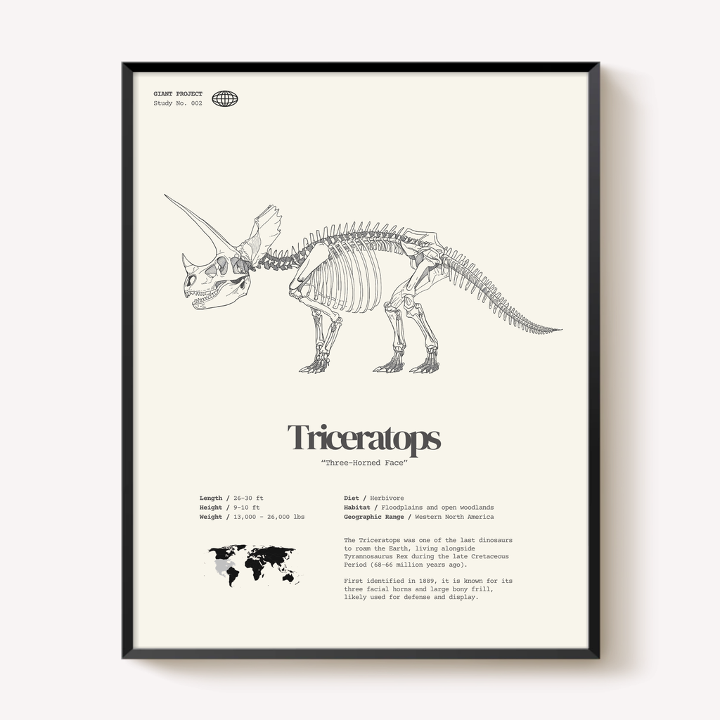 Framed Dinosaur Print Set (3) – T-Rex, Triceratops, Brachiosaurus – 11"x14"