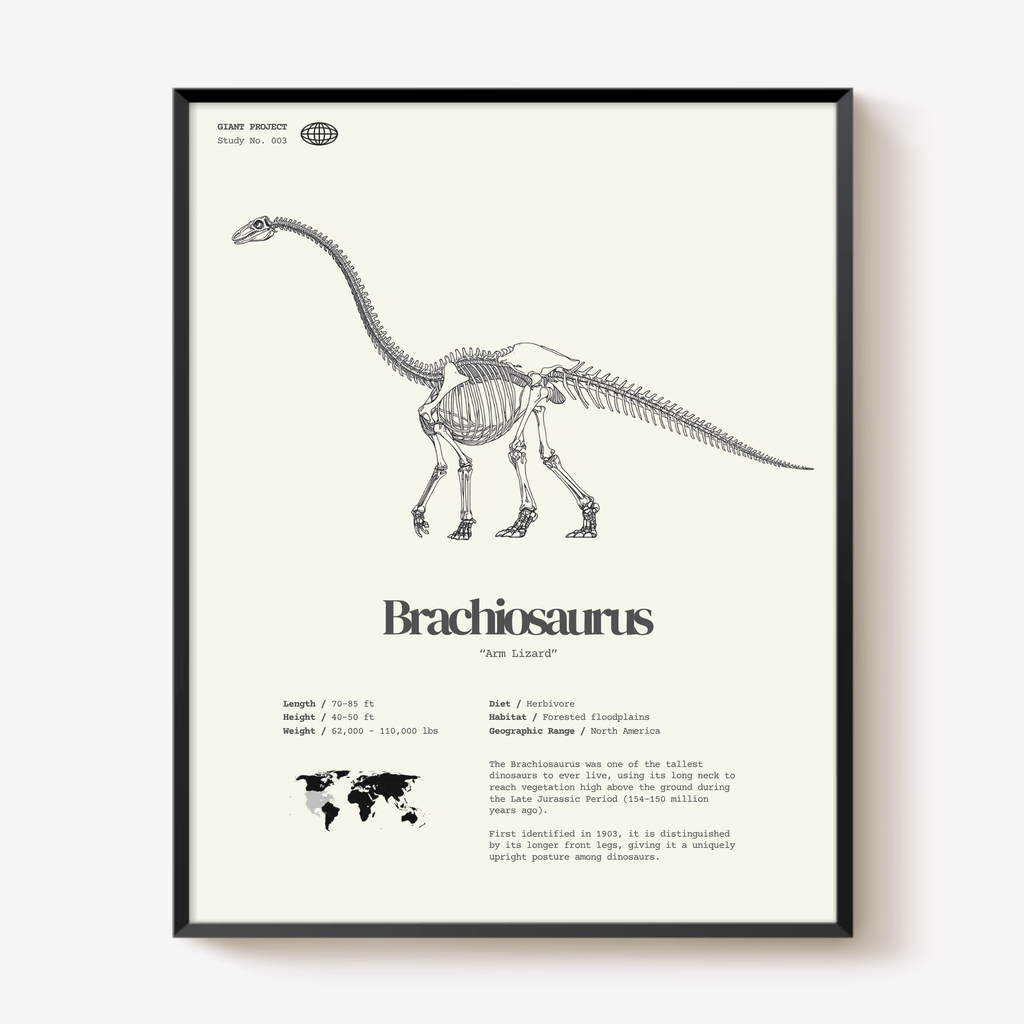 Framed Dinosaur Print Set (3) – T-Rex, Triceratops, Brachiosaurus – 11"x14"