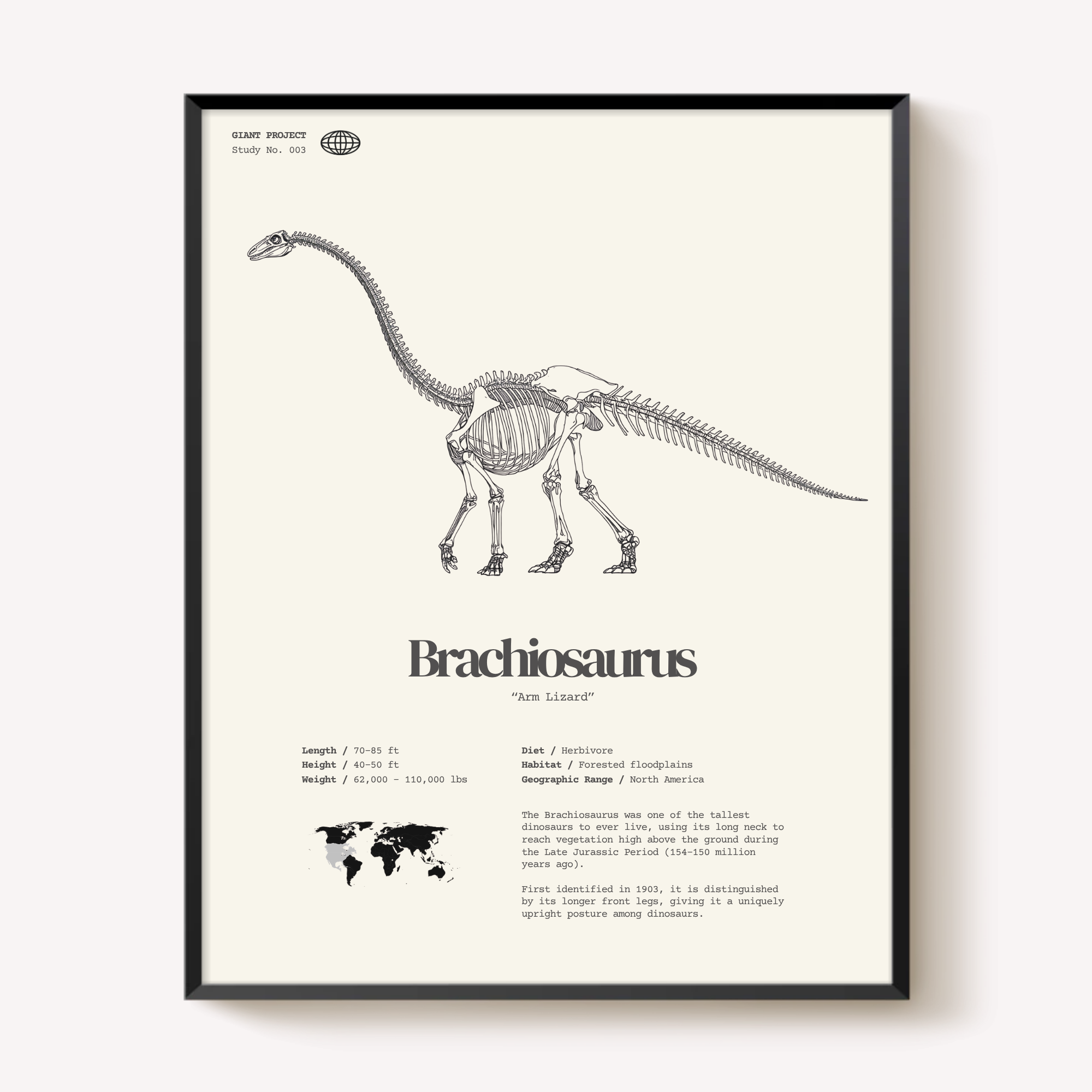 Framed Dinosaur Print Set (3) – T-Rex, Triceratops, Brachiosaurus – 11"x14"