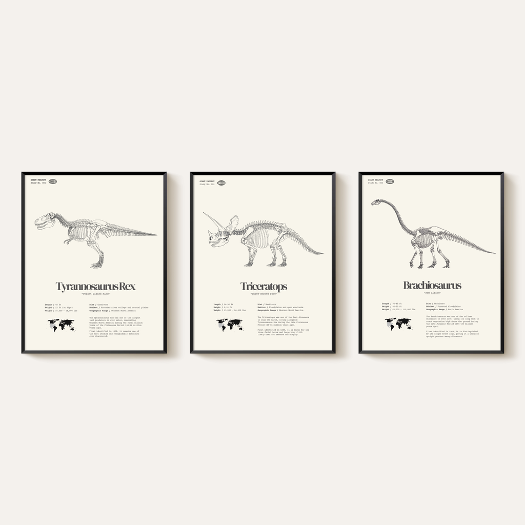 Framed Dinosaur Print Set (3) – T-Rex, Triceratops, Brachiosaurus – 11"x14"