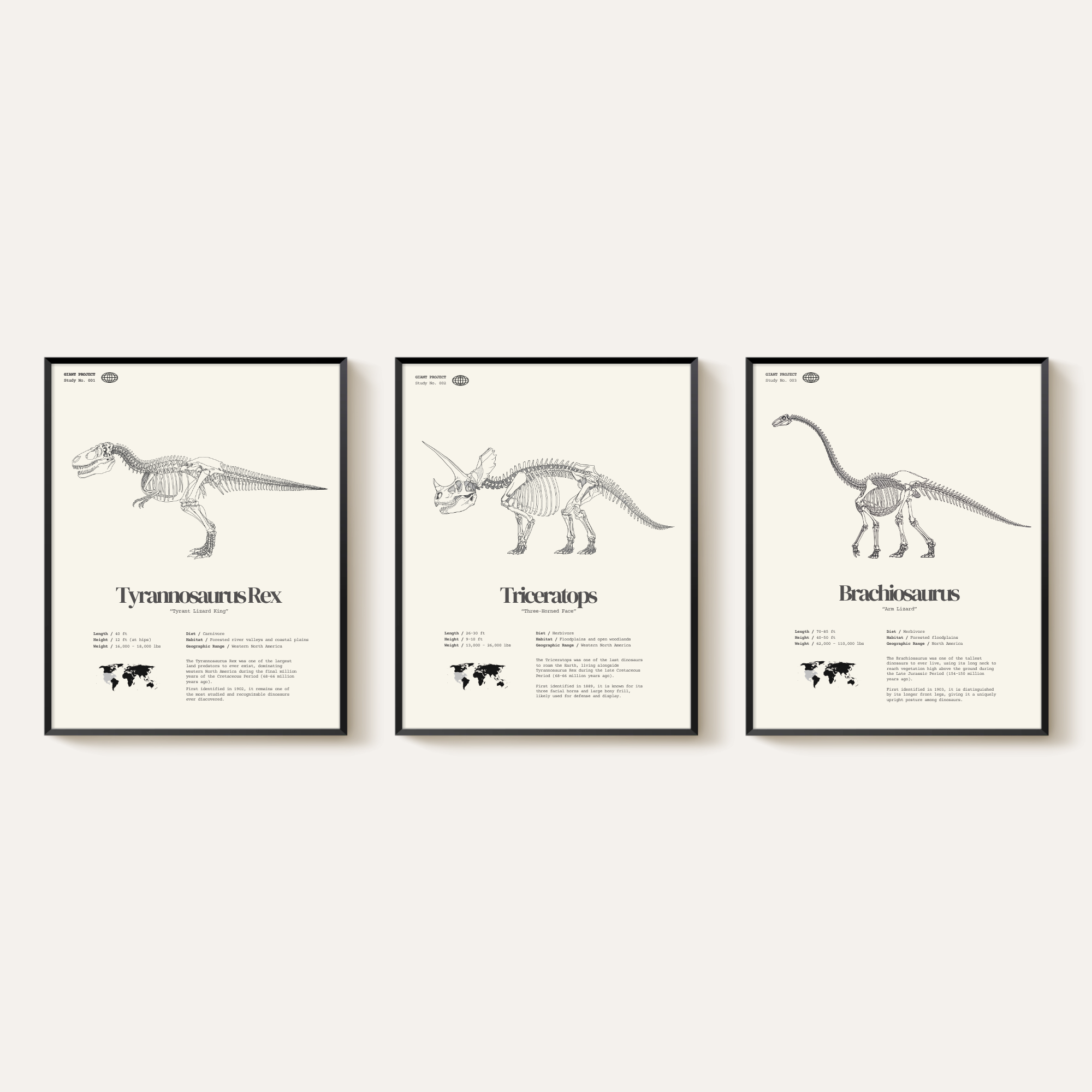 Framed Dinosaur Print Set (3) – T-Rex, Triceratops, Brachiosaurus – 11"x14"